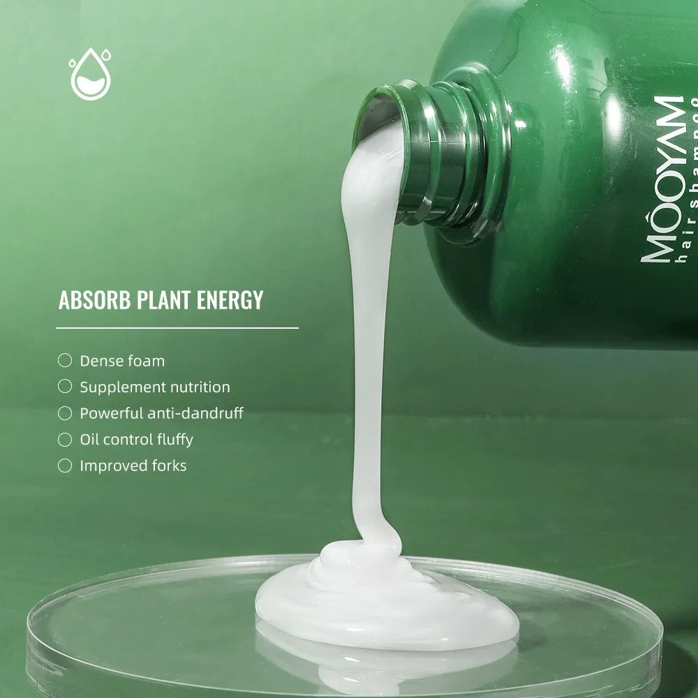 Natural Hair Grow Shampoo Organic Ginger Mint Tea Tree Oil Shampoo Hair Growth Oil Shampoo