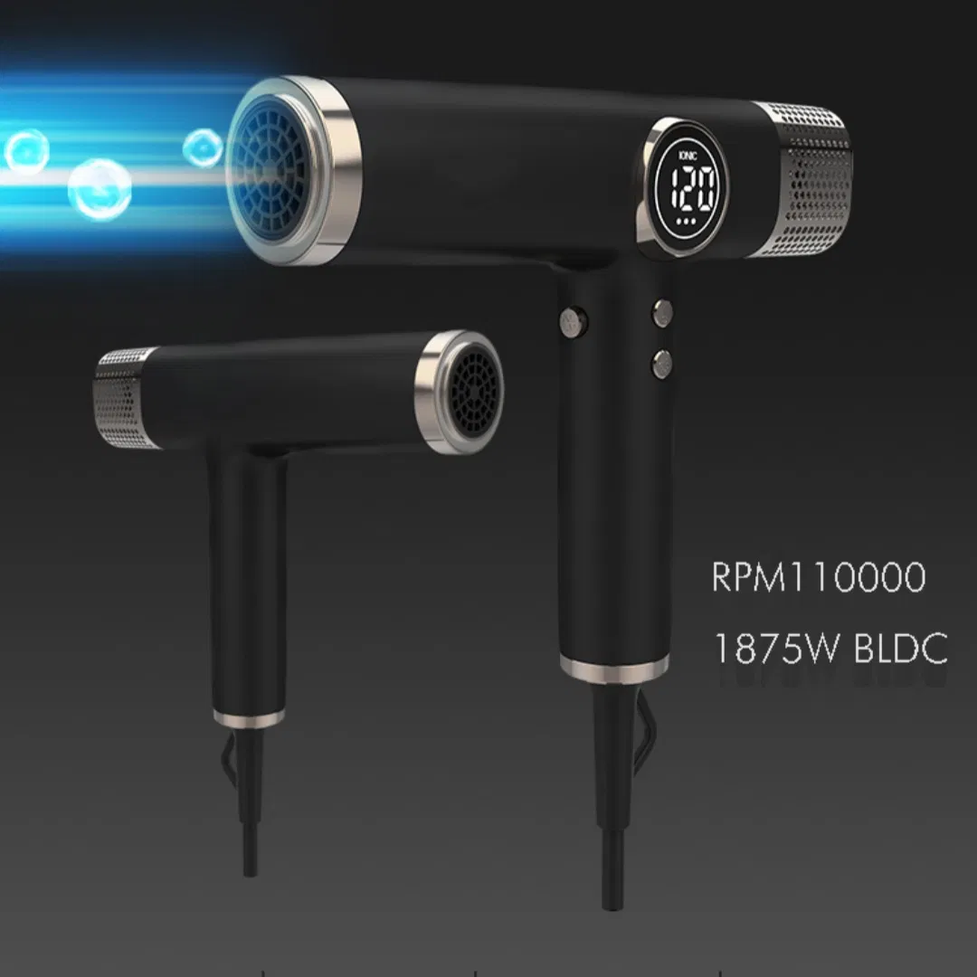 Professional 5-in-1 110000 Rpm Brushless Ionic Hair Blow Dryer