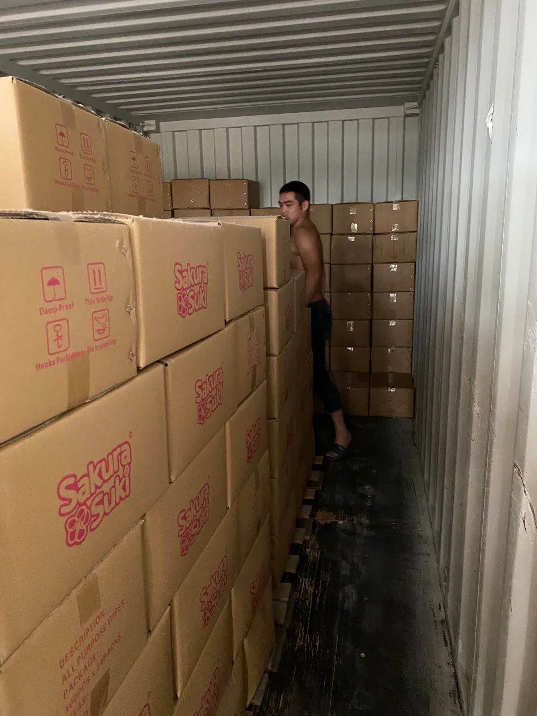 100 Pieces Wholesale Alcohol-Free High Quality Baby Wipes