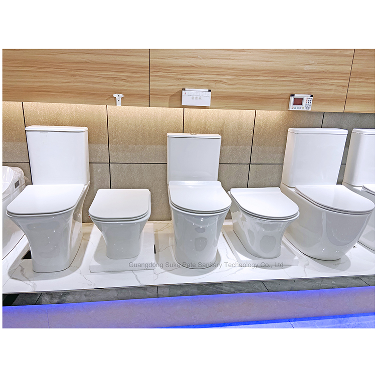 Cheap High Quality Two Piece White Color Bathroom Rimless Wc Toilet with Bidet