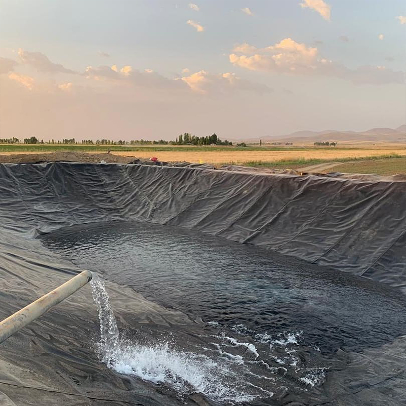 Barramundi Fish Shrimp Vannamei Prawns Farming 0.3mm 0.5mm 0.75mm HDPE Liner Geomembrane in Indonesia Philippines Malaysia