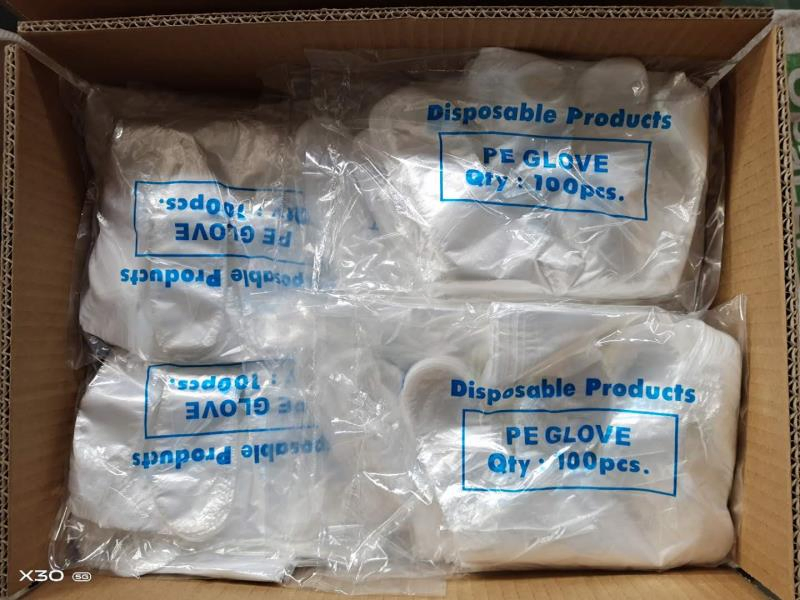 China Wholesale Food Grade LDPE / HDPE / CPE / PE / TPE Plastic Disposable Gloves