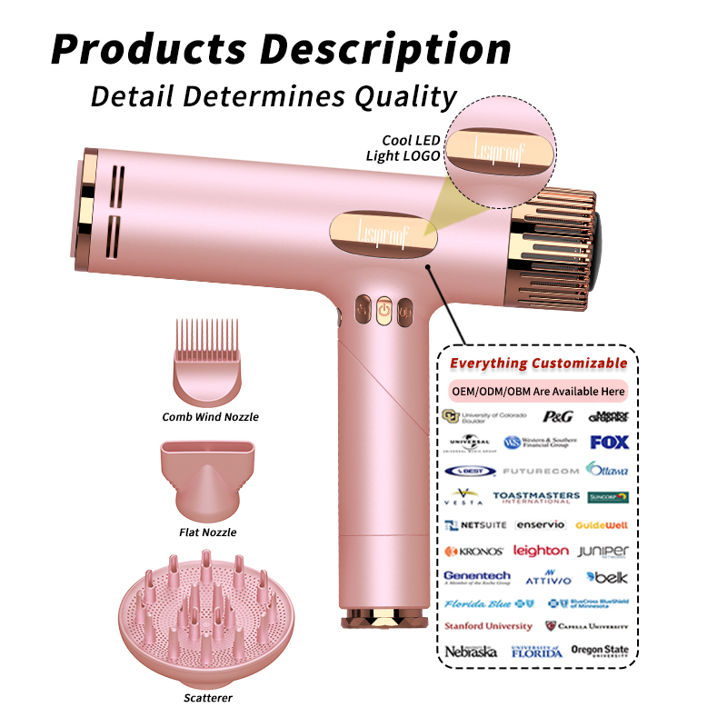 Professional Brushless Ionic Hair Dryer for Salon Use