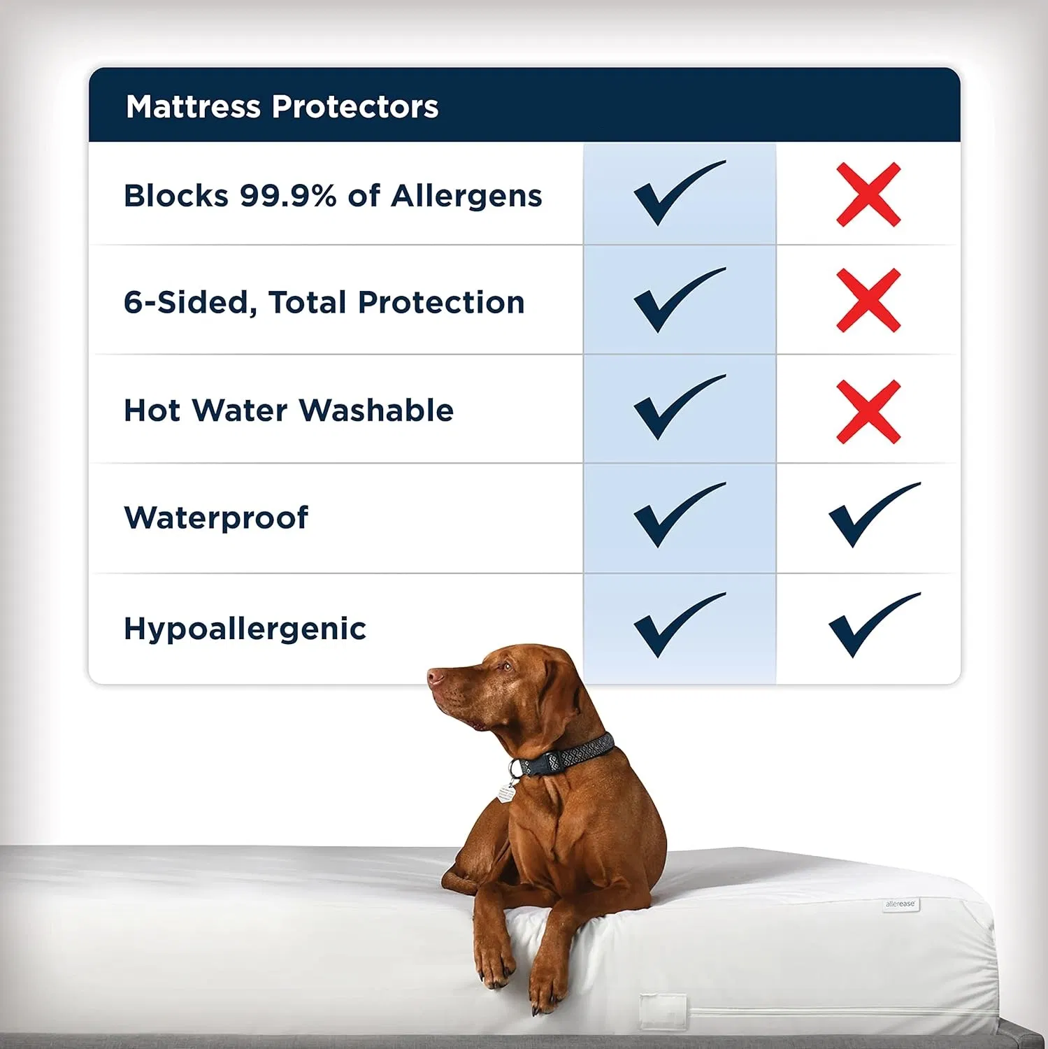 Ultimate Waterproof Mattress Protector for Queen and King Beds