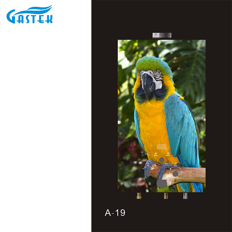 Compact 10L Natural Gas Water Heater for Efficient Bathrooms