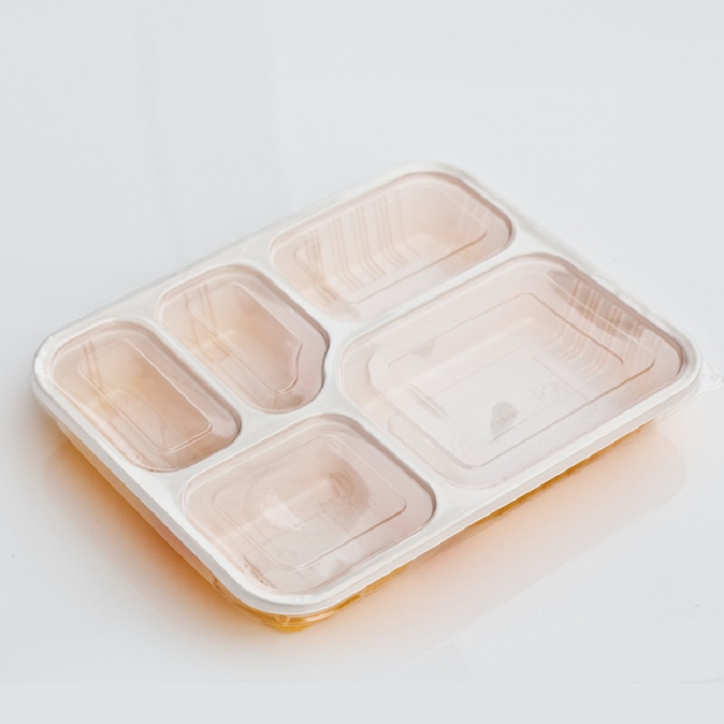 Disposable Fast Food Container Box Plastic Tray Container Wholesale