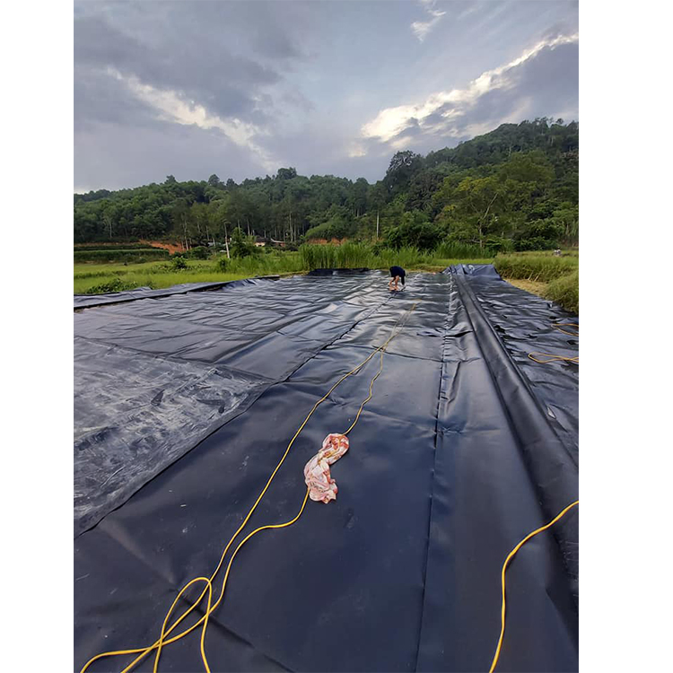 Fish Shrimp Farm Pond Liner / Swimming Pool Liner 0.8mm