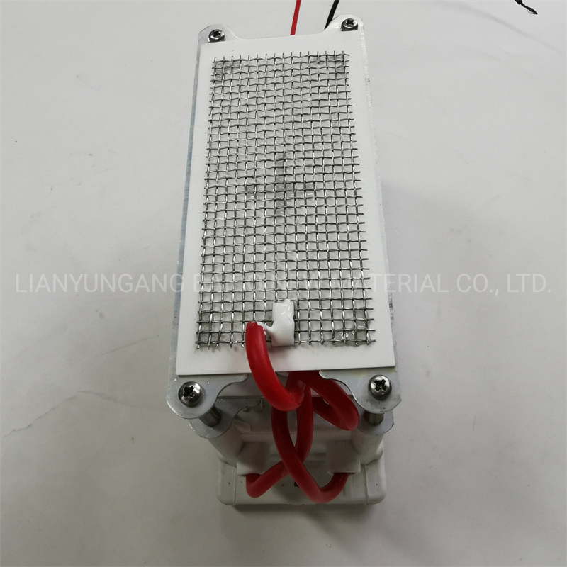 Disinfection Water Treatment Ozone Generator O3 Output 5g 10g Module Machine