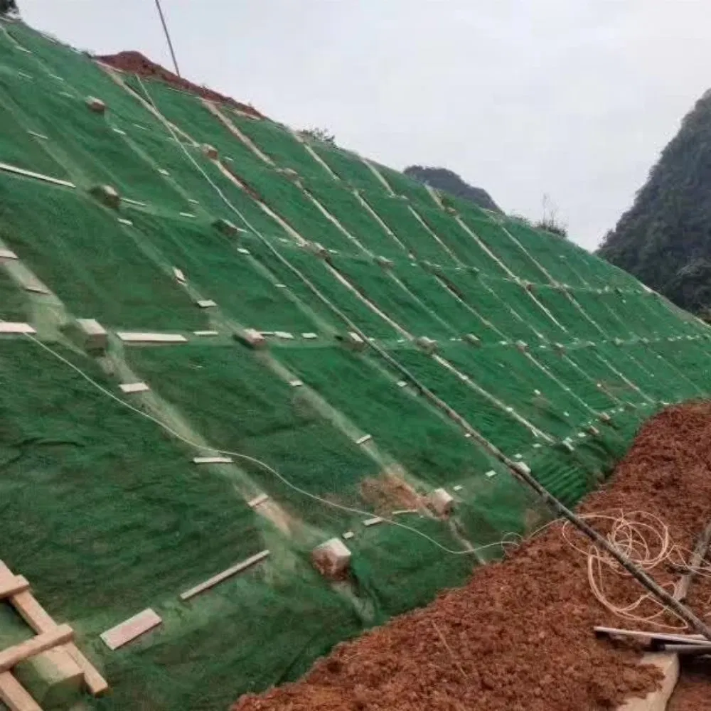 3D Geomat Manufacturer Em4, Em5, Em6 Vegetation Growth Erosion Control Geomat for Riverbank Stabilization