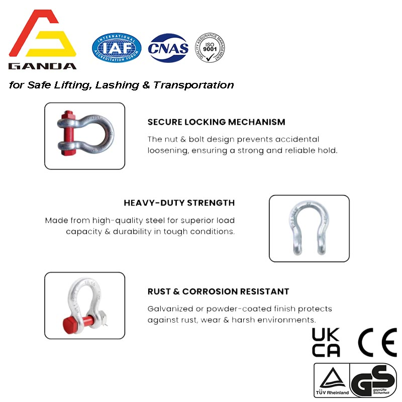 Us Type G2130 Safety Bolt Type Bow Forge Shackle Hot DIP Galvanized Sf 6: 1
