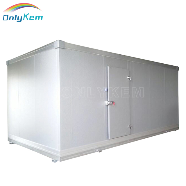 Cooling Room/Walk in Chiller for Food Processing Raw Poultry Storage Freezer