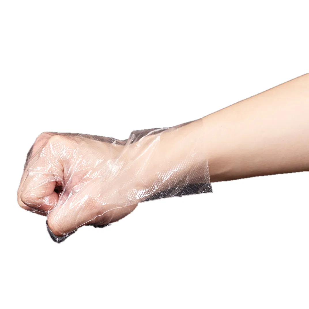 Disposable Plastic PE Gloves for Wholesale