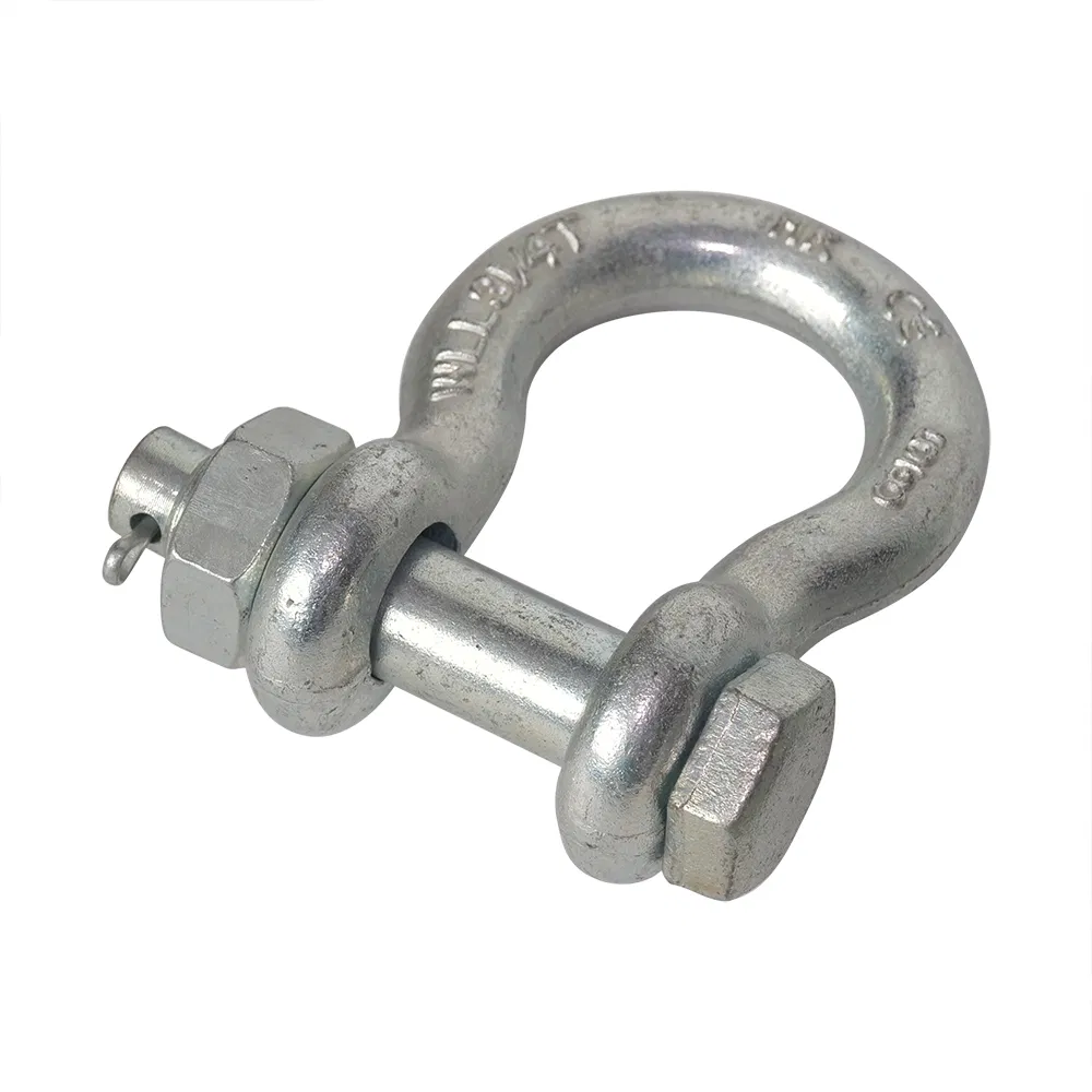U. S. Standrad Bow Shackle From Chinese Factory