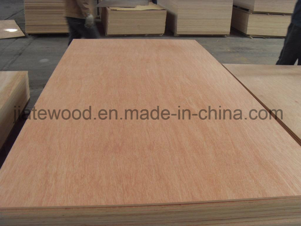 Low Price Plywood for Packaging Moisture Resistant (1220X2440 mm, 12 mm thick)