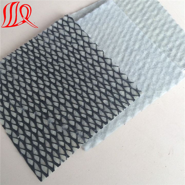 HDPE Tri-Dimension Composite Geonet for Drainage