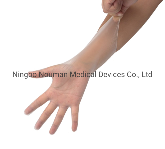 Disposable Factory  ISO Powder Free Transparent PVC Vinly Gloves