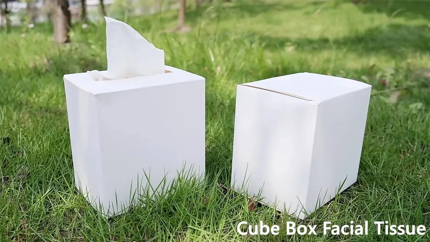 BSCI/OEM Factory Eco-Friendly/Tree Free 2/Ply3ply Strong Soft Bulk White 100% Bamboo Facial Tissue for Bathroom/Home/Hotel