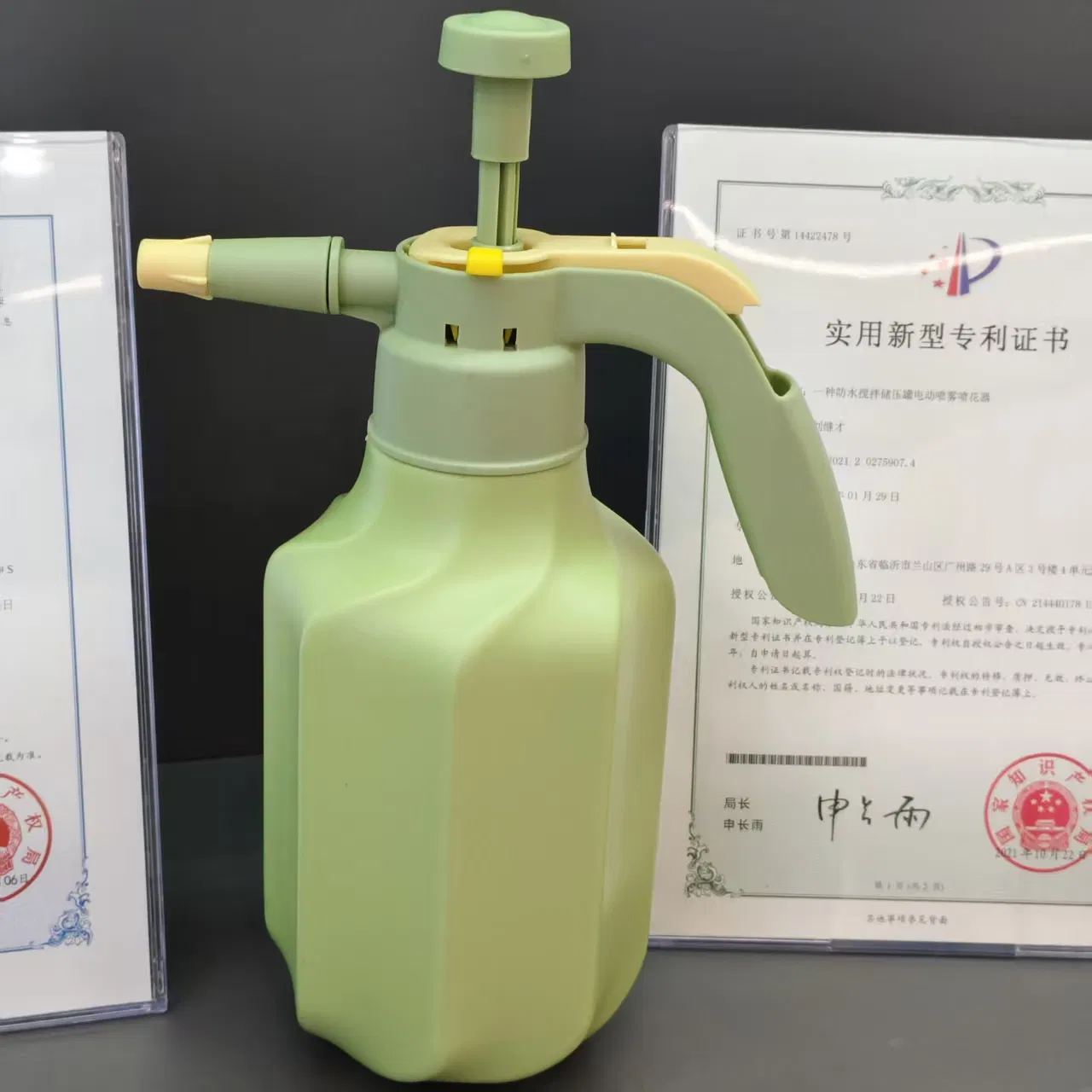 Compact Manual Handheld Sprayer Small Spray Bottle for Indoor Plants