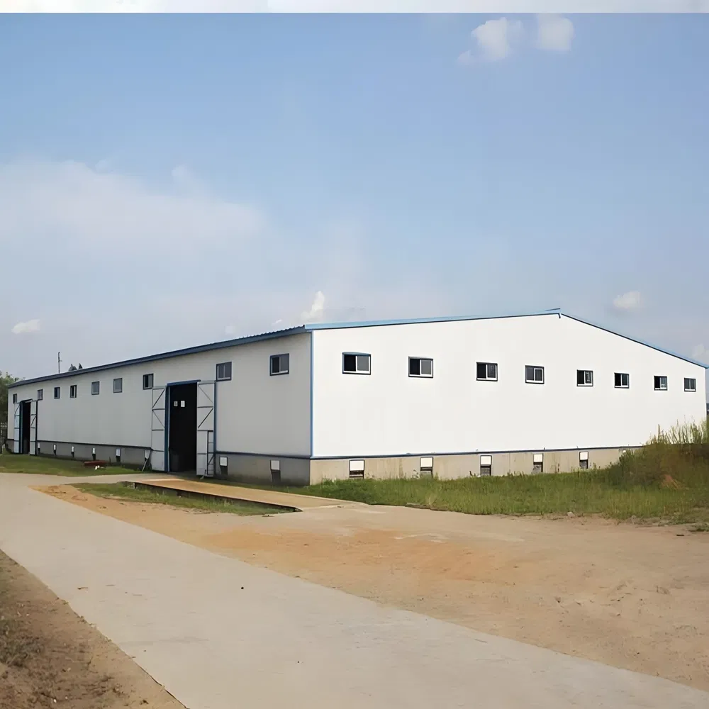Prefabricated Steel Structure Warehouse Shed