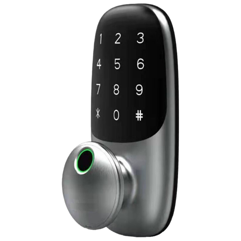 Advanced Encryption System CS8 Smart Lock