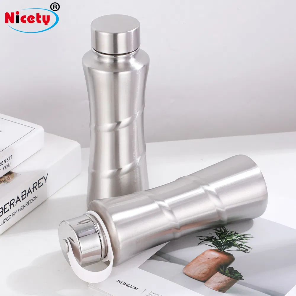 Factory Direct Classic 16.9oz Stainless Steel Water Bottle with Handle Lid Portable Design for Drinks Water Hot Sale