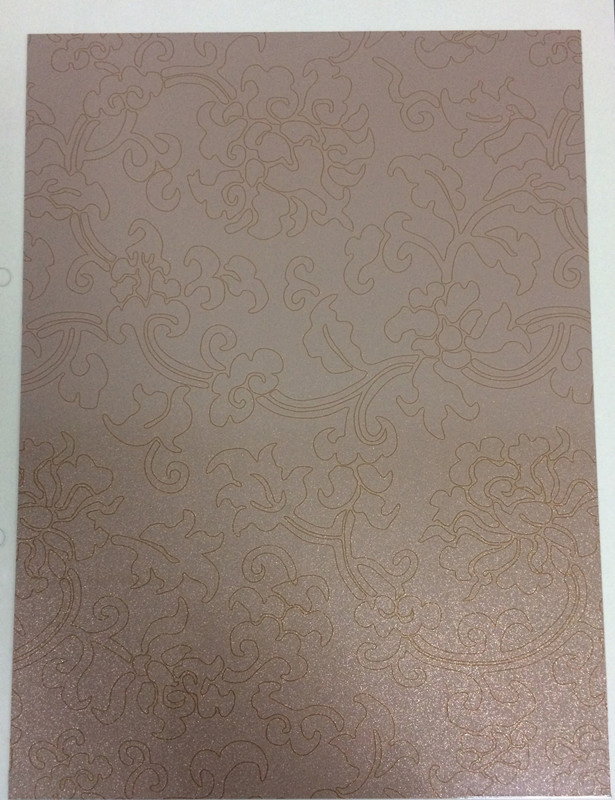 Vinyl Coated Metal, Steel Door Panel for Refrigerator