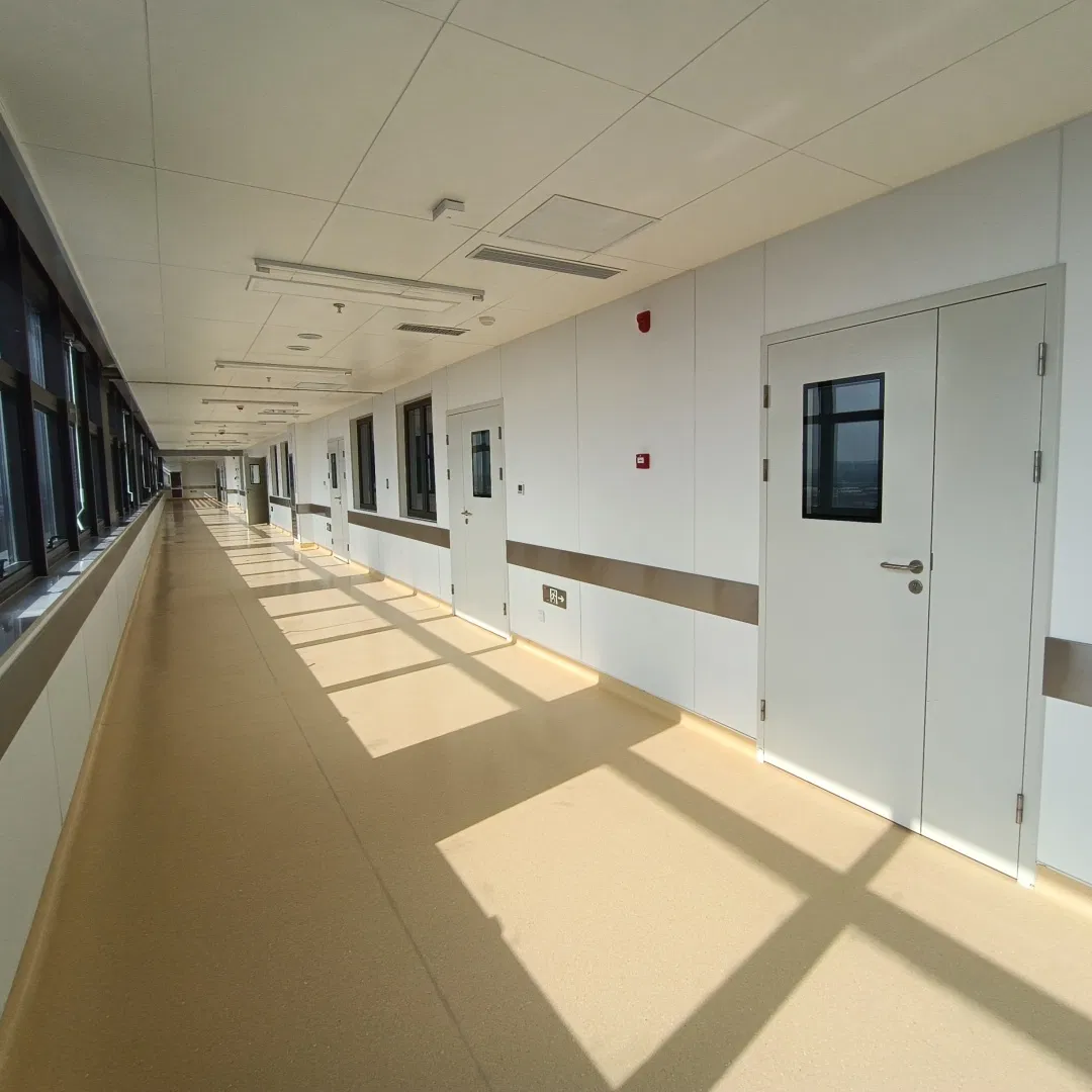 CE Certified Air Tight Leaf High Performance Cleanroom Door Manufacturer Direct for Bio-Safety Purification