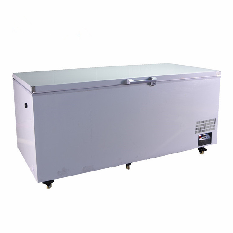 -60c Degree Low Temperature Tuna Chest Freezer 1000 Liters Deep Freezer