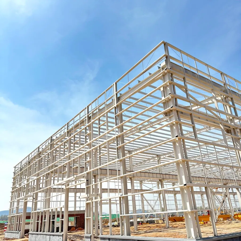 Multifunctional Steel Structure Logistic Centers Warehouse with CE Certificate.