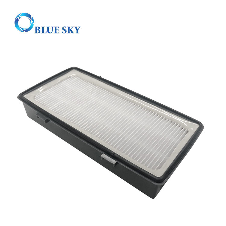 HEPA Filter and Pre-Motor Filter for Rowenta Zr006001 RO6941e