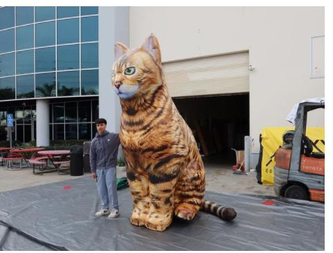 2023 New 20 FT. Giant Inflatable Realistic Black Cat