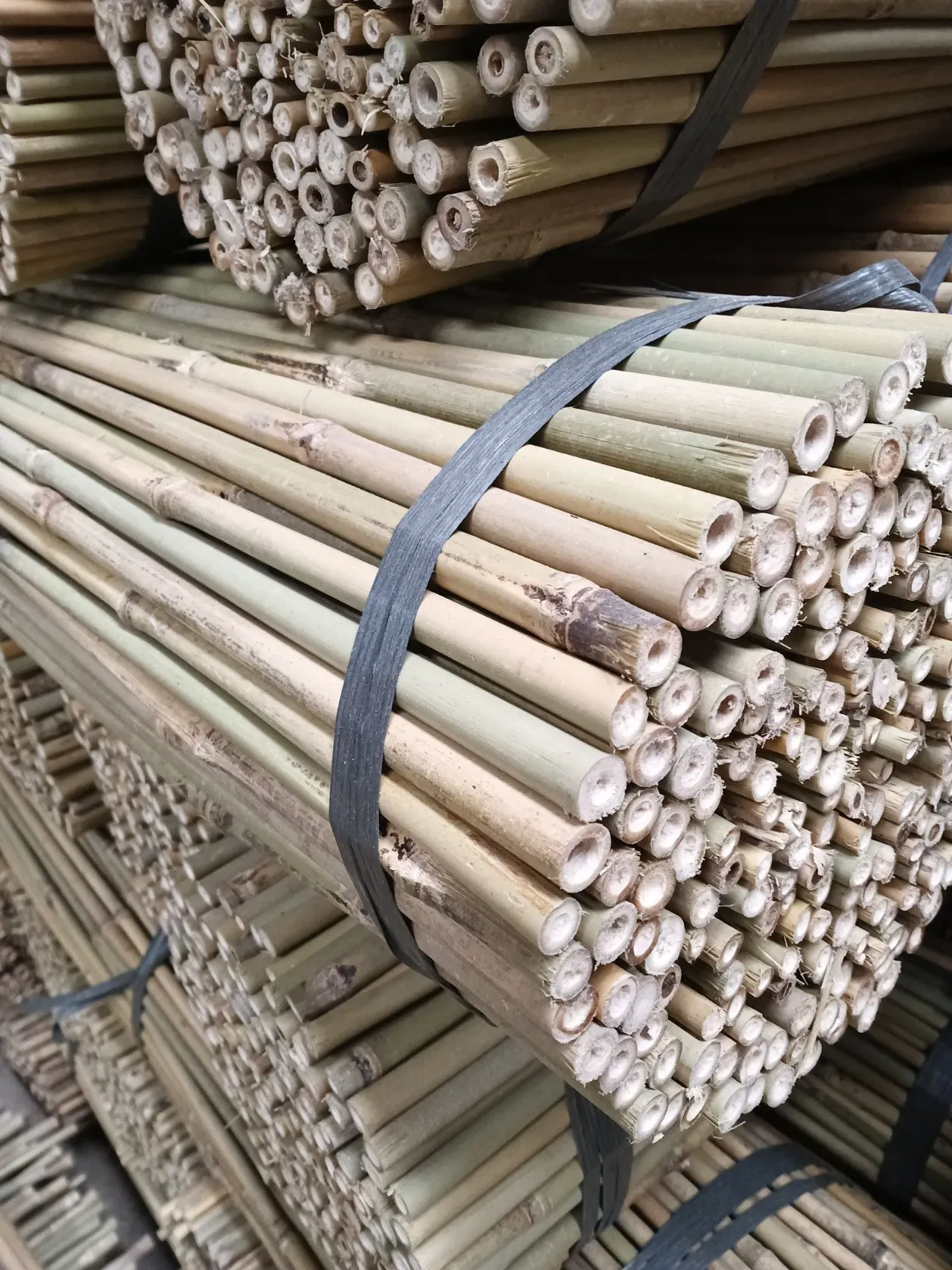 All-Natural Classic Bamboo Stakes for Gardening Wholesales Planting Support Pots Climbing Plants Tomato