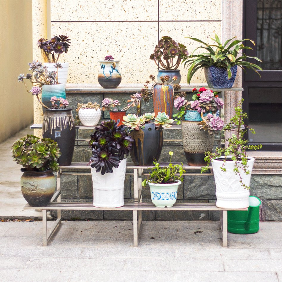 2 Tier Stainless Steel Flower Pot Rack Plant Stands