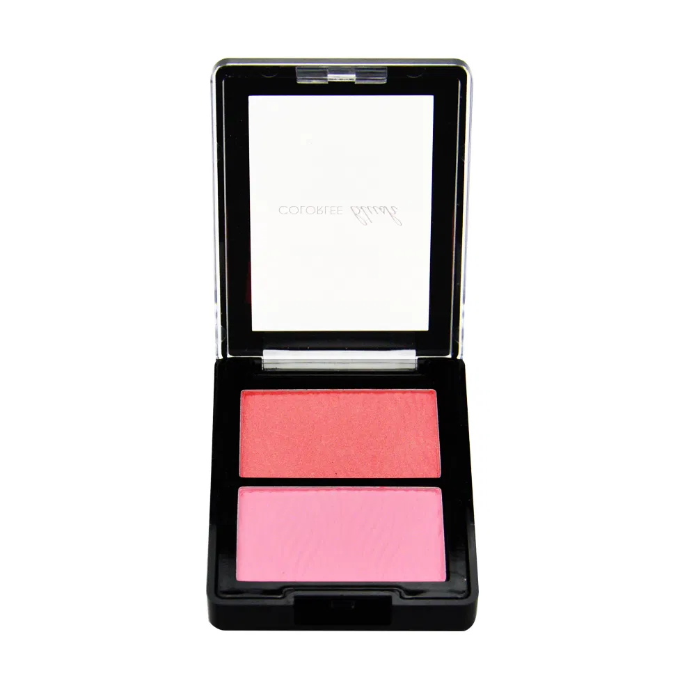 New Arrival Long Lasting 2 Colors Makeup Blush