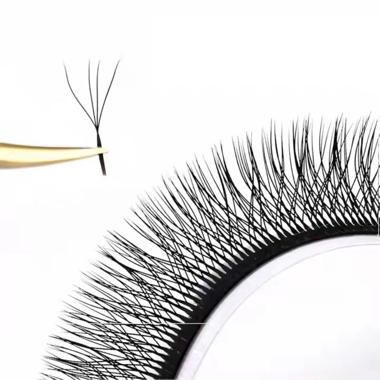 W Shaped Clover Eyelash Extension 3dw 4dw 5dw 6dw 0.05 0.07