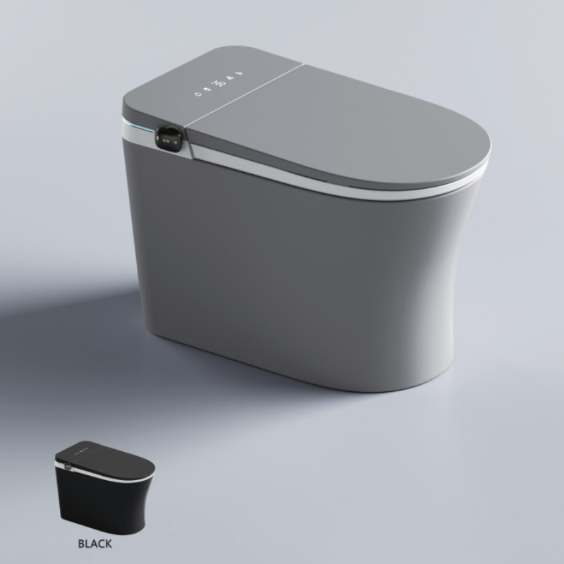 Simple and Popular Fashionable Intelligent Toilet