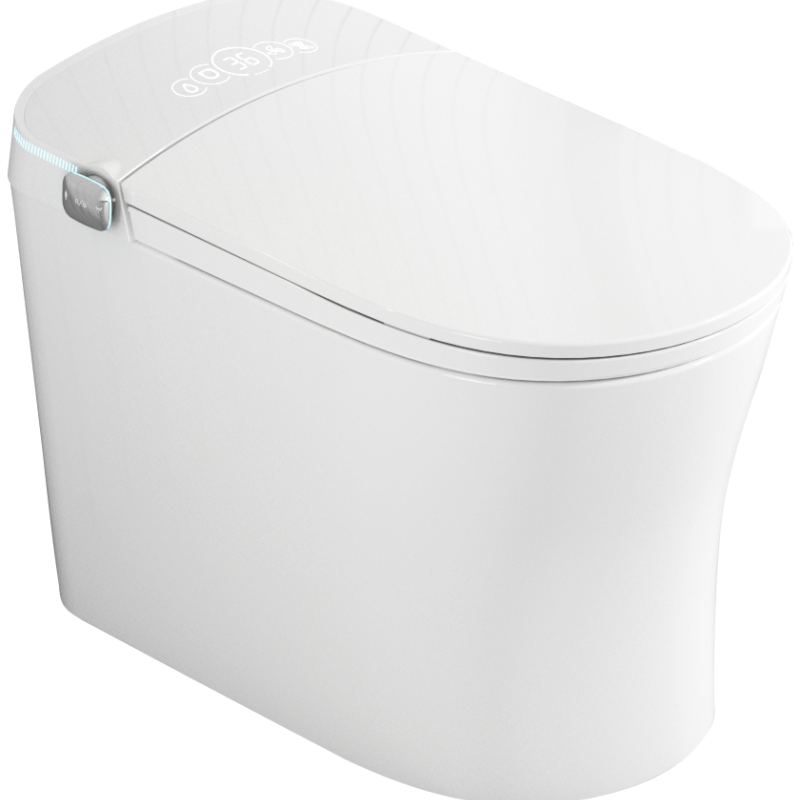 Fashionable Smart Toilet Ceramic Remote Control Intelligent Toilet Seat