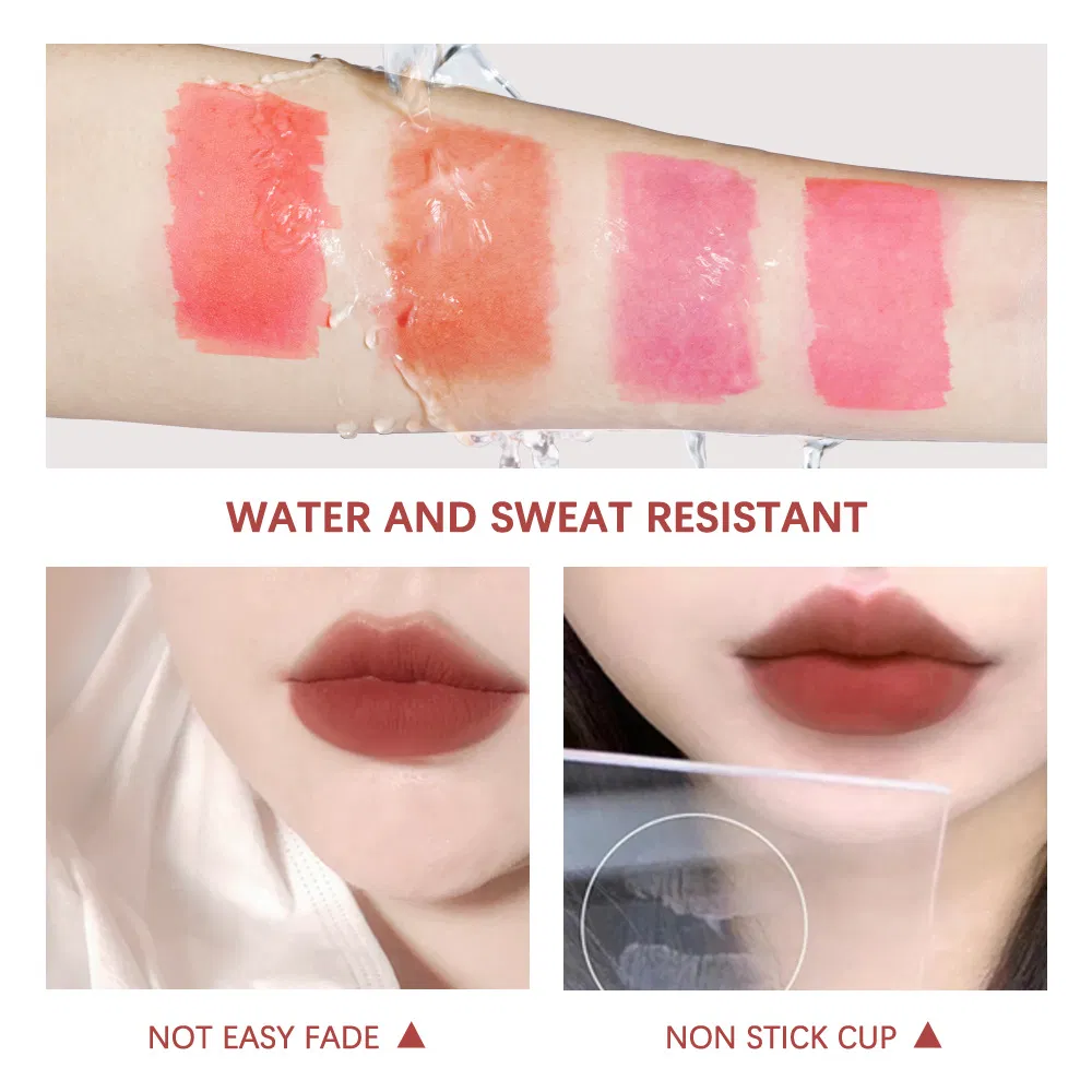 Disposable Cotton Swab Lip Gloss Custom Color Waterproof Lip Glaze Makeup