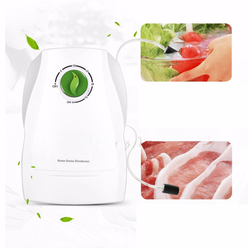 2016 Hot Sale High Quality Cheap Price 300mg/H Ozone Generator for Fruit and Vegetable Wash