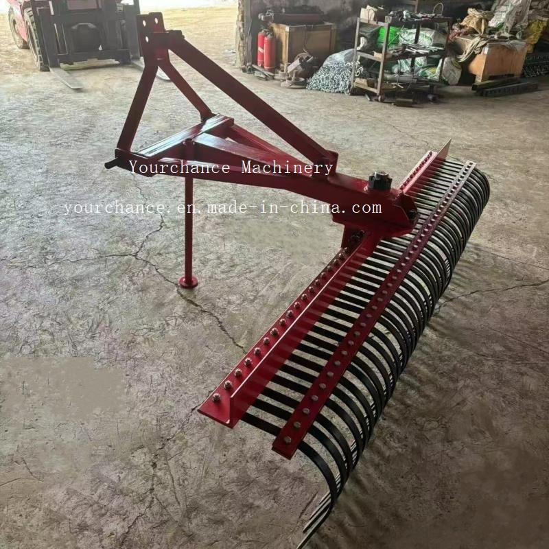 Europe Hot Sale Farm Implement Garden Tool Lr Series 1.2-2.1m Width Stick Rake Hay Rake Landscape Rake