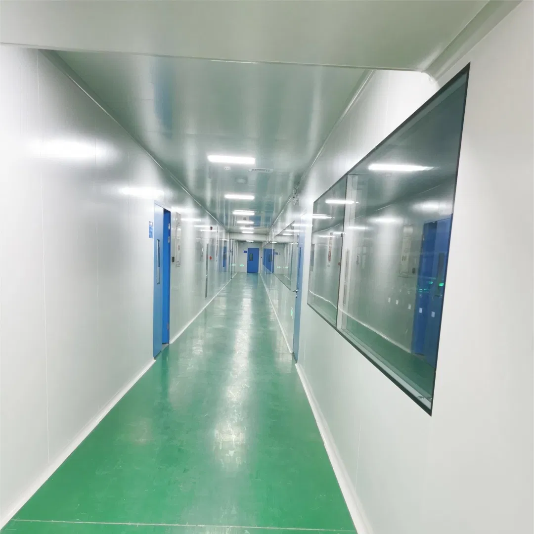 Airtight Sealed Construction Cleanroom Window Designed for Optimal Cleanliness Control