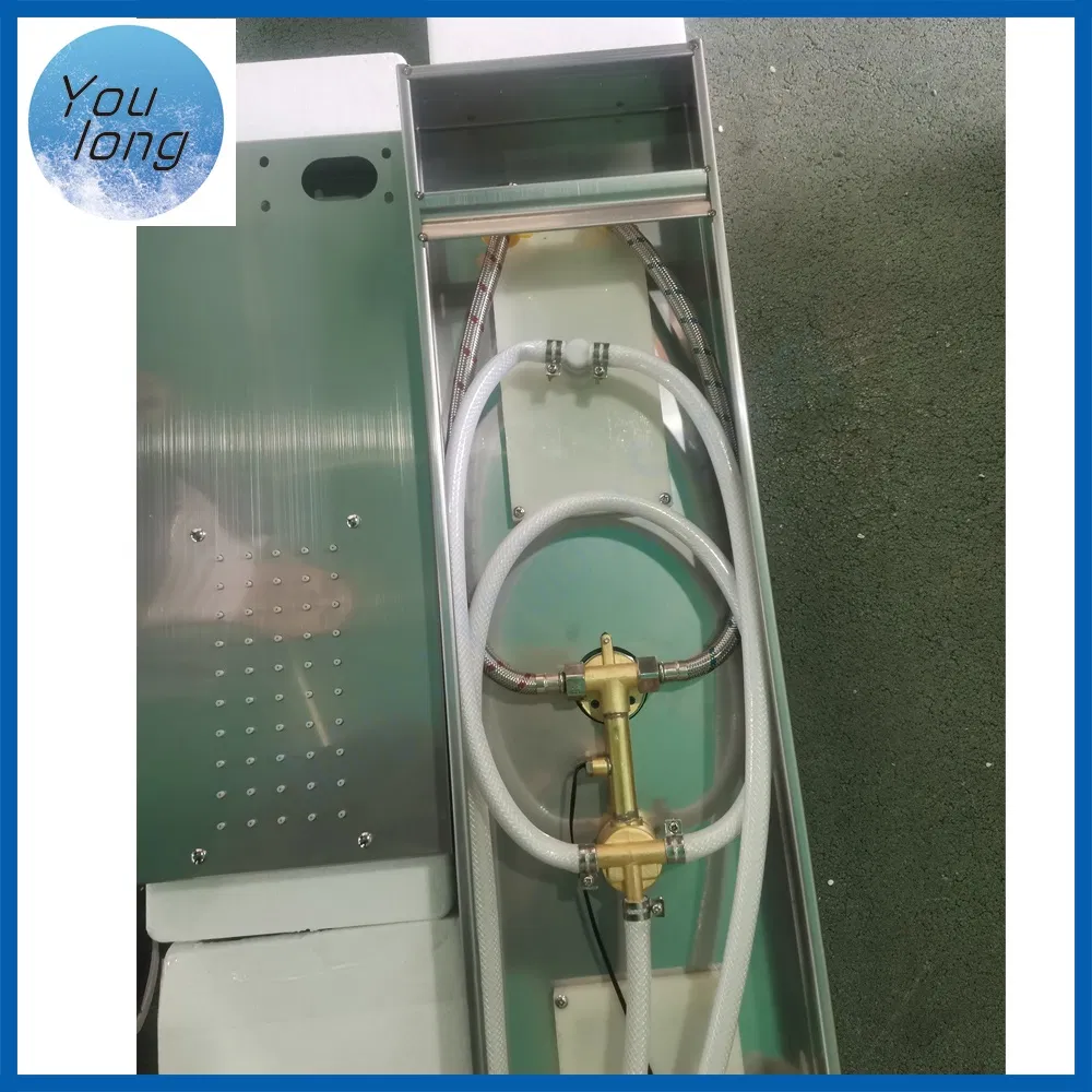 Wall Mounted Multifunctional SPA Stainless Steel LED Shower Panel