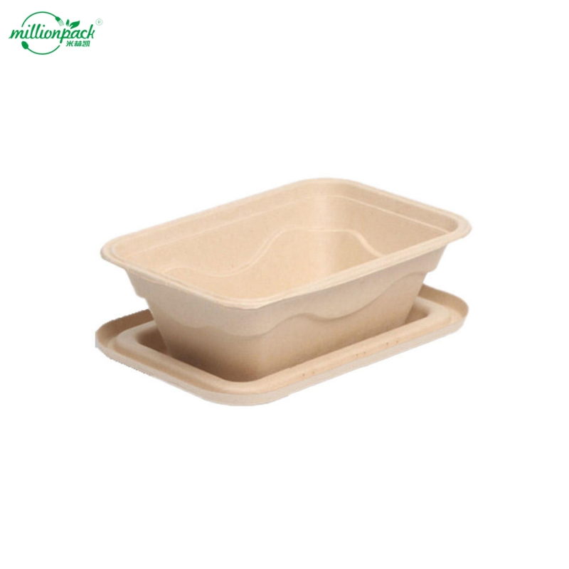Biodegradable Bagasse Food Container with Secure Lid for Takeout and Delivery