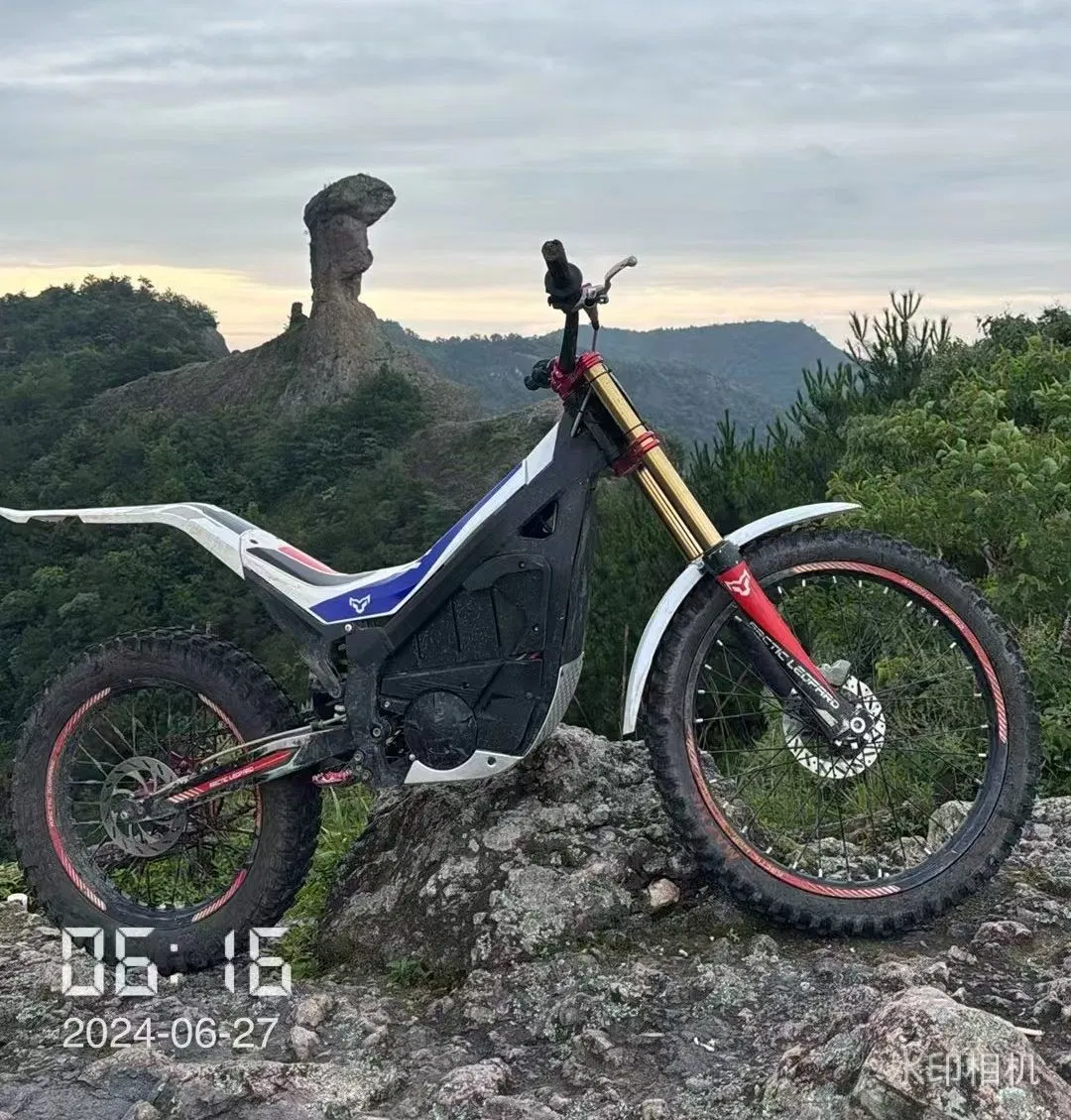 Arctic Leopard Snow Leopard EX800/700 75V 25kW Electric Off-Road Motorcycle