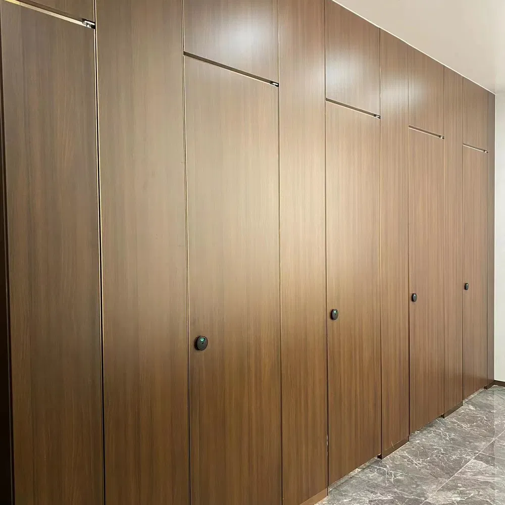 Factory Direct HPL Compact Laminate Toilet Cubicle for Shopping Mall and Offices
