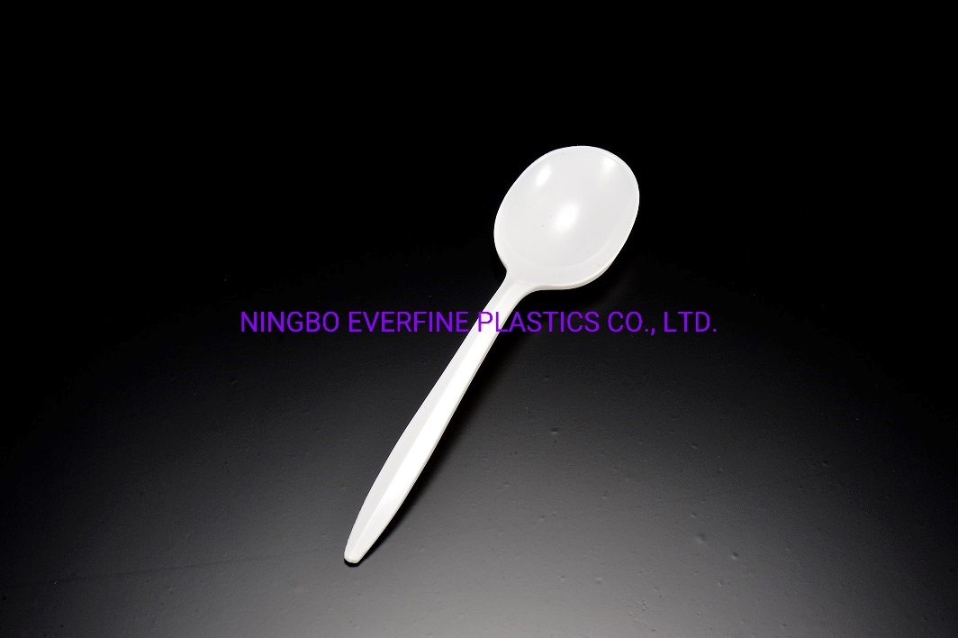 Medium Weight Plastic White / Black Teaspoon (PP)