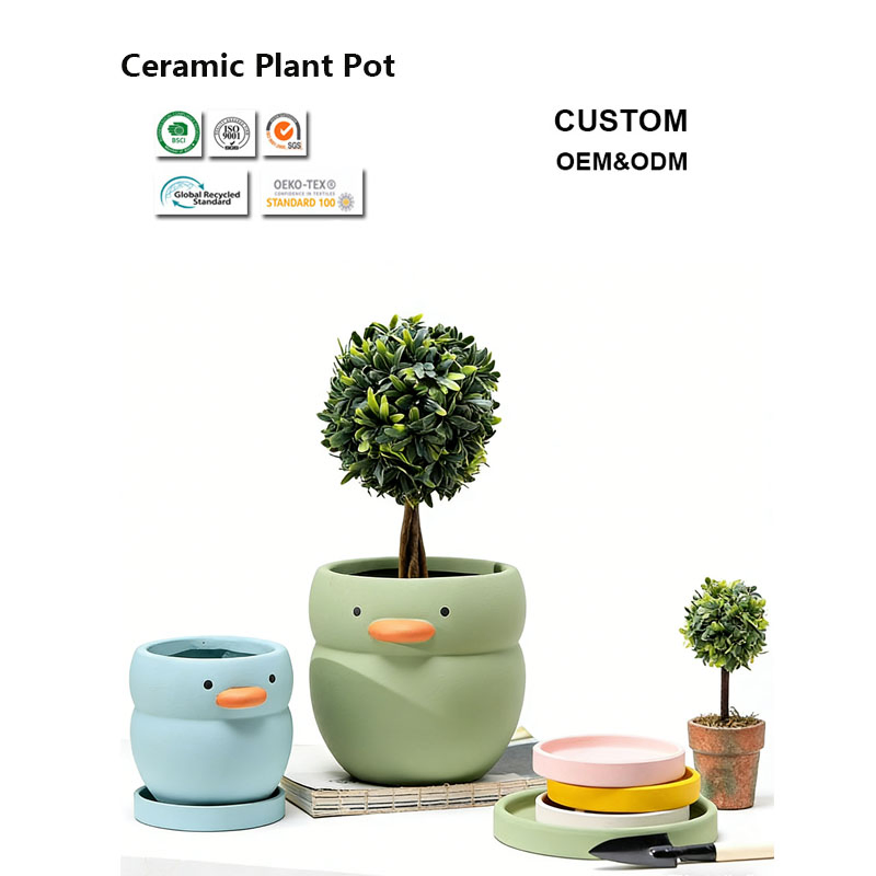 Фарфоровый цветочный горшок для гостиной