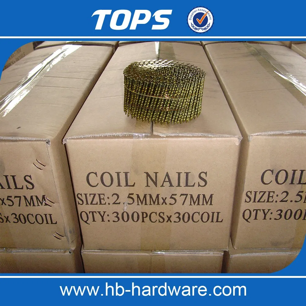 Factory Supply Collated Framing Smooth Ring Shank Coil Nails for Wooden Pallet