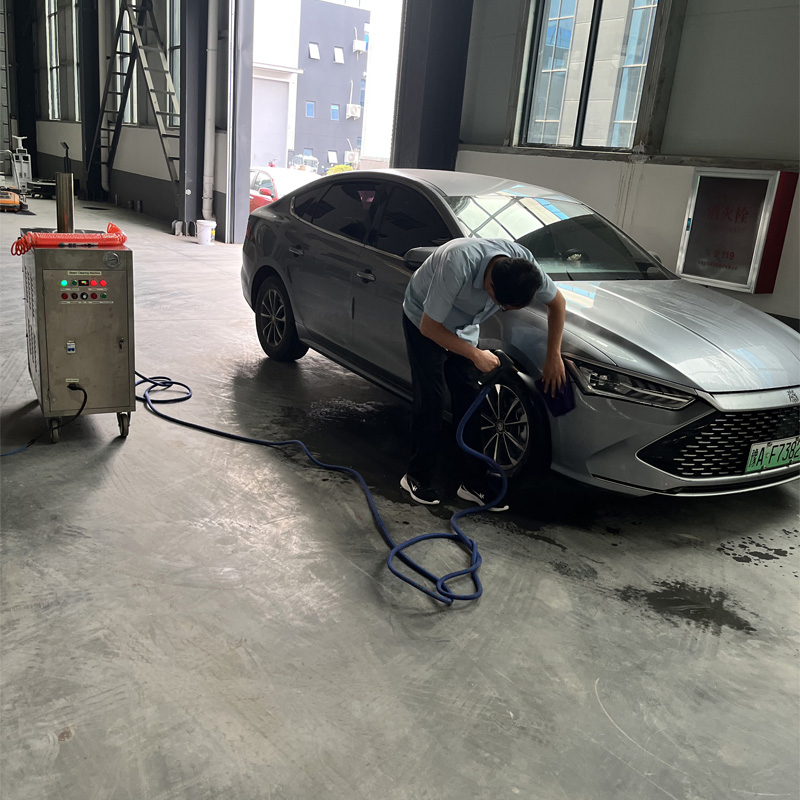 Gas-Heated Steam Cleaning Machine Dry-Wet Adjustable