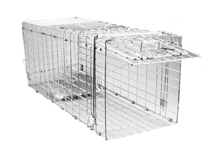 Large Humane Collapsible Live Animal Trap Cage Trapping Rat Possum Raccoon